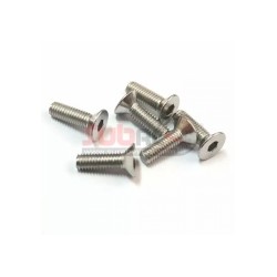 SUBRC, SBRC-S002 COUNTERSUNK STAINLESS STEEL 2X4MM 1.3MM HEX 10PCS